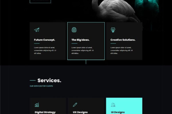 Artboard 32 copy 6-80